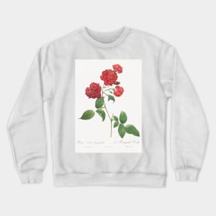 Red Cabbage Rose,  Bengal eyelet by Pierre-Joseph Redouté Crewneck Sweatshirt